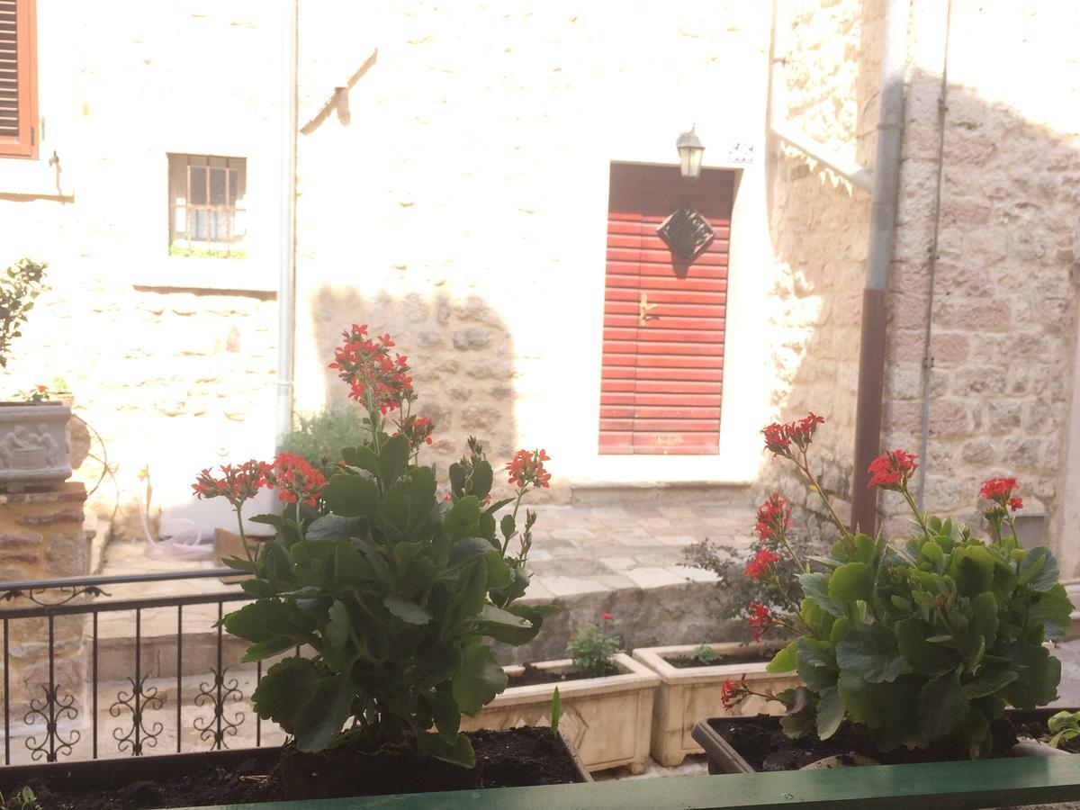 Apartment Ozana Kotor Exteriér fotografie