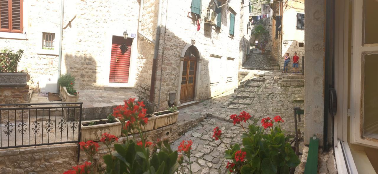 Apartment Ozana Kotor Exteriér fotografie